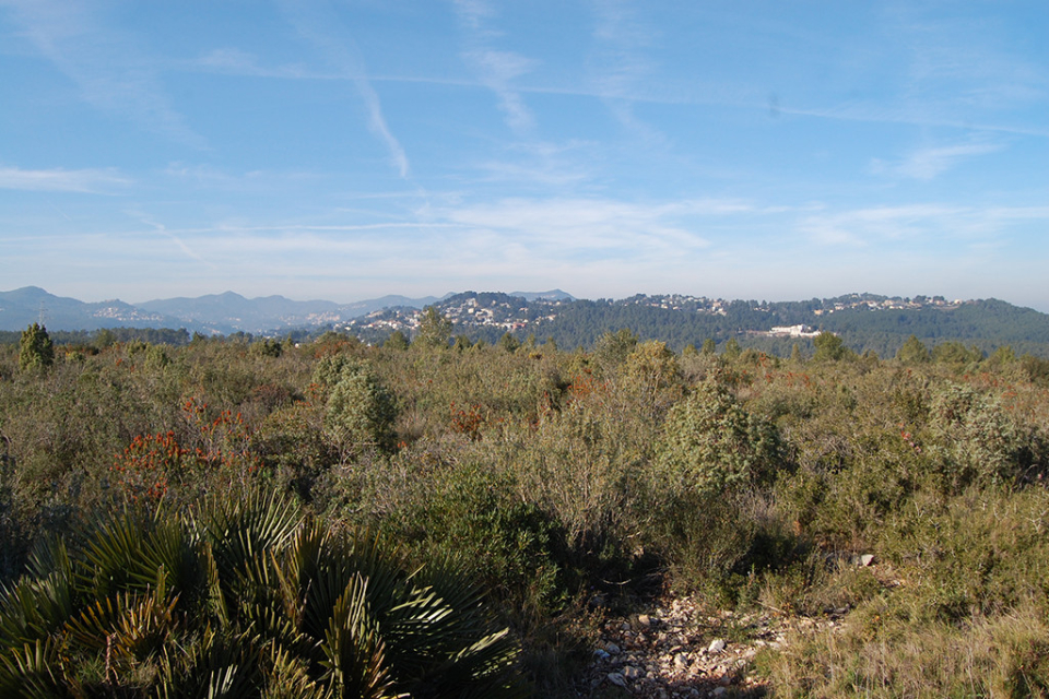 Lloc d'interès natural