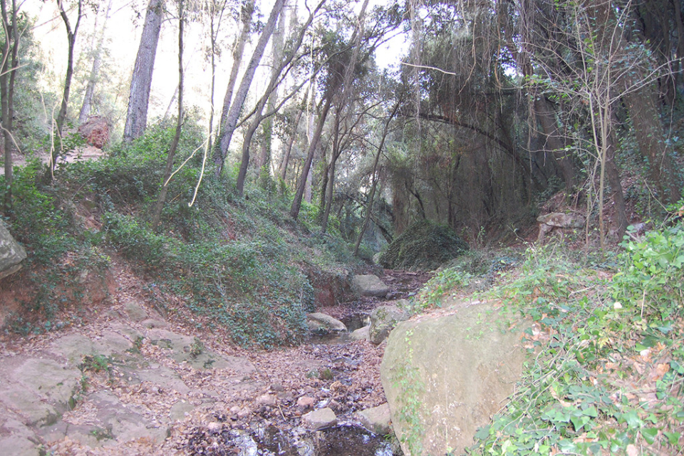 Espai d'interès natural 4